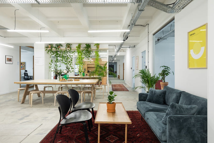 OPTISOFA x Cluster