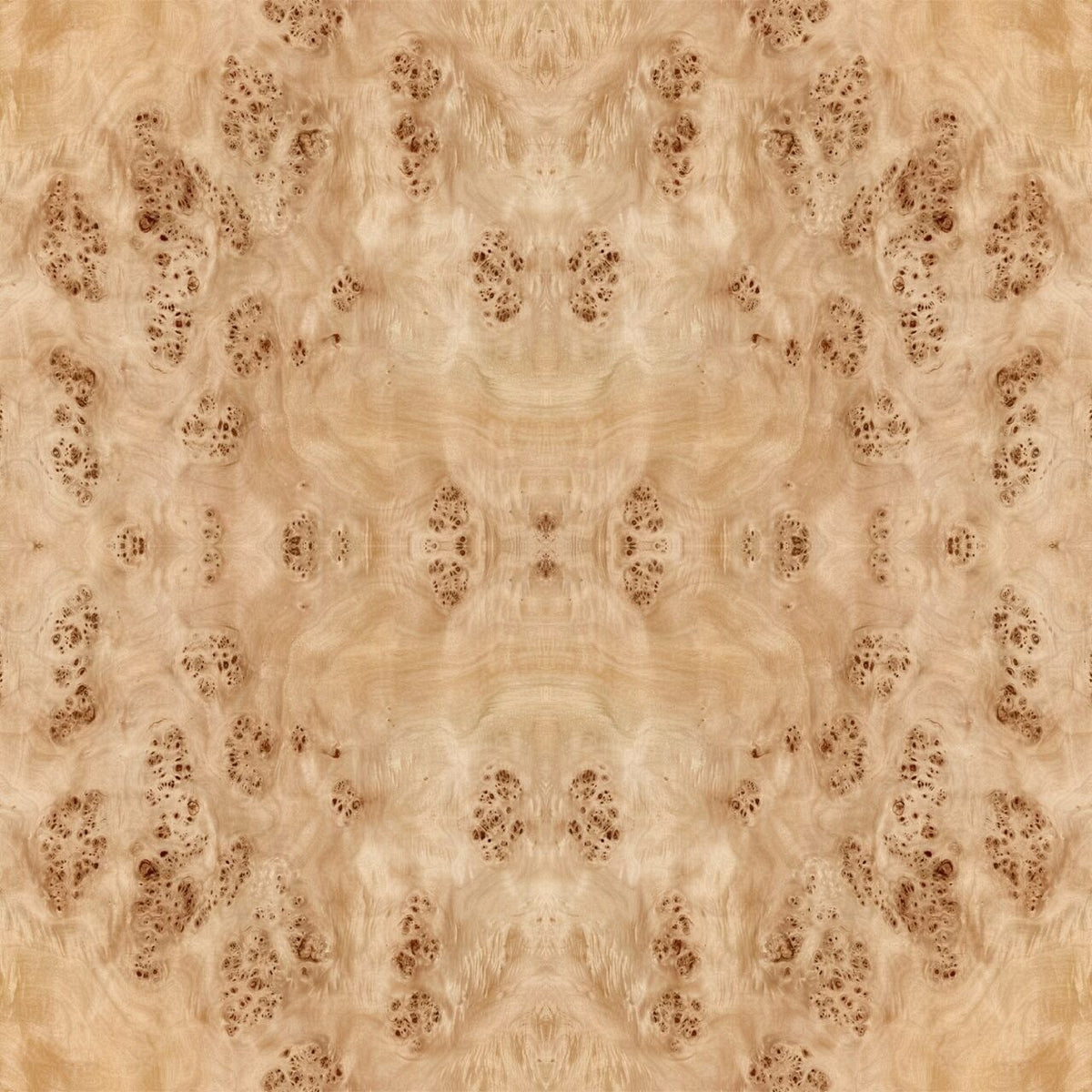Burl Natural