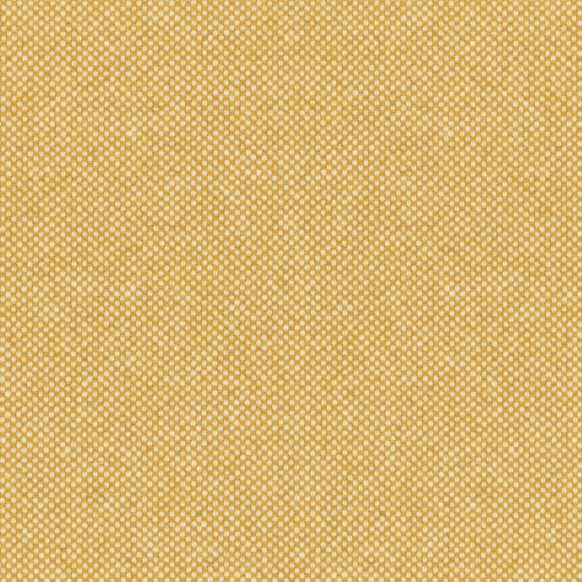 Honey Gold