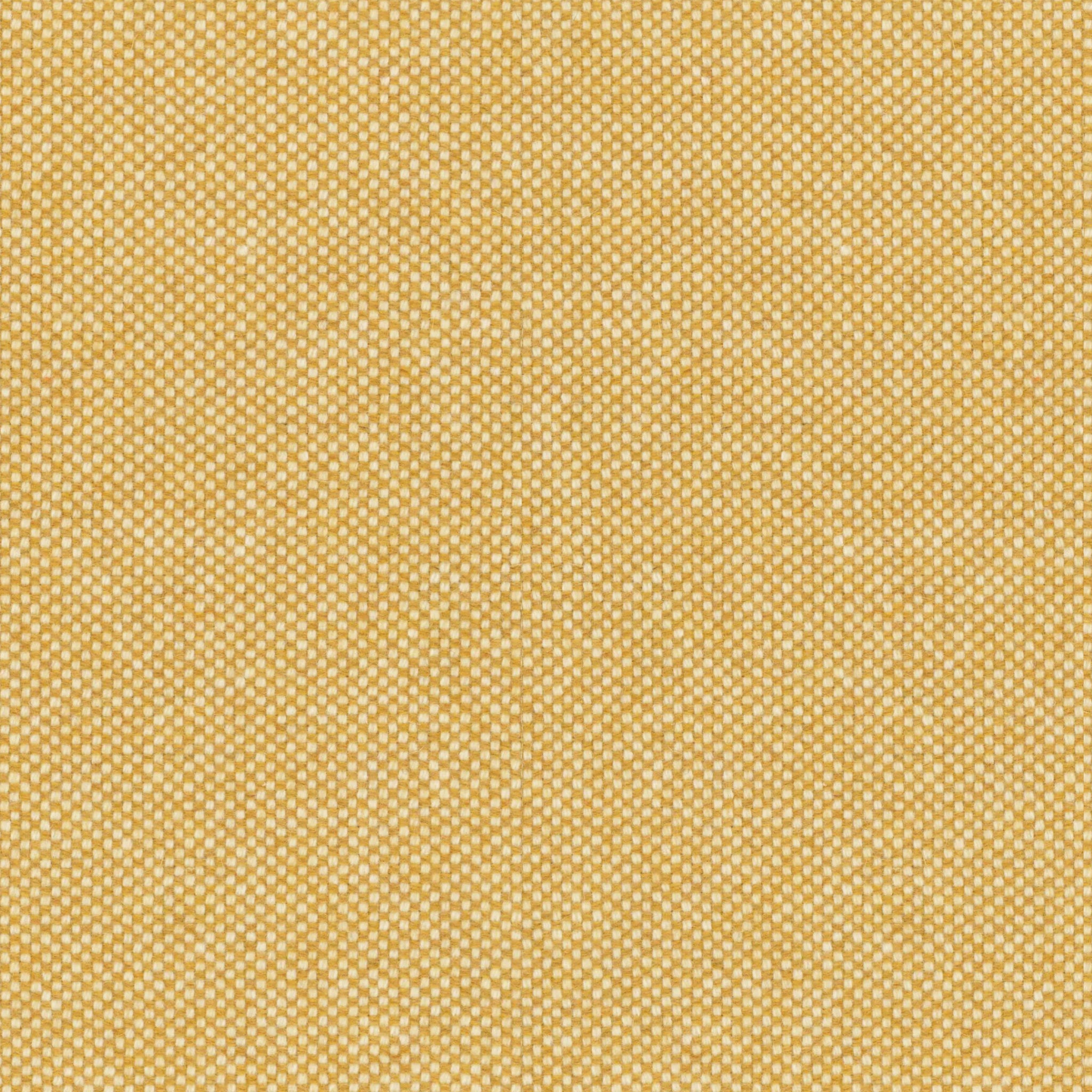 Honey Gold