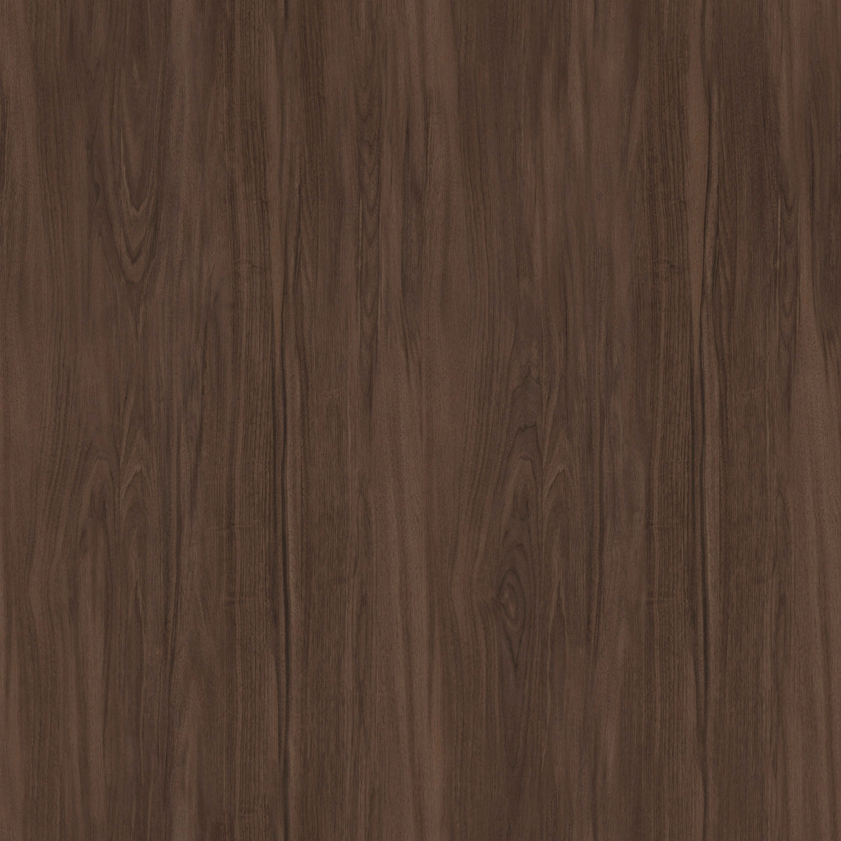 Oak Chocolate