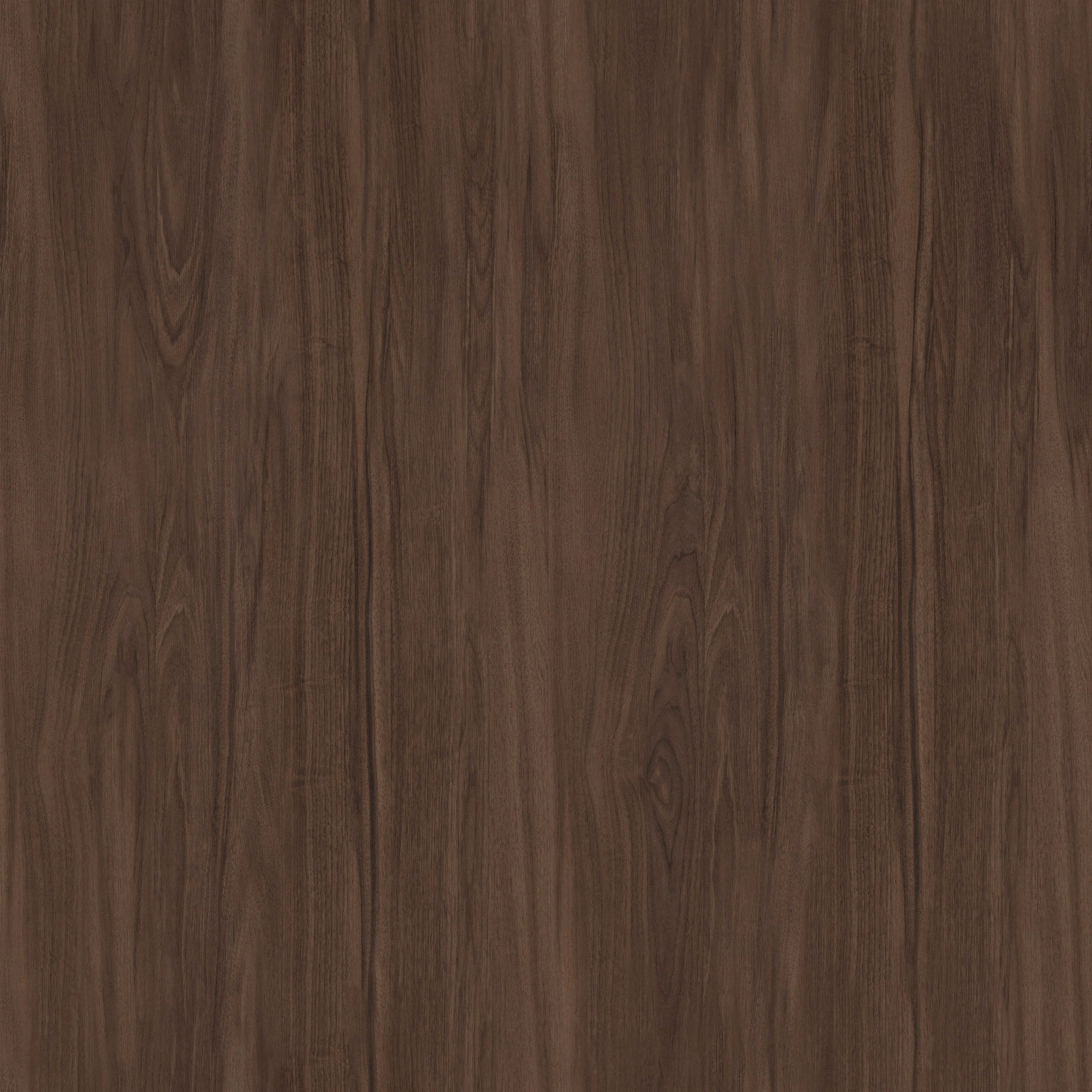Oak Chocolate
