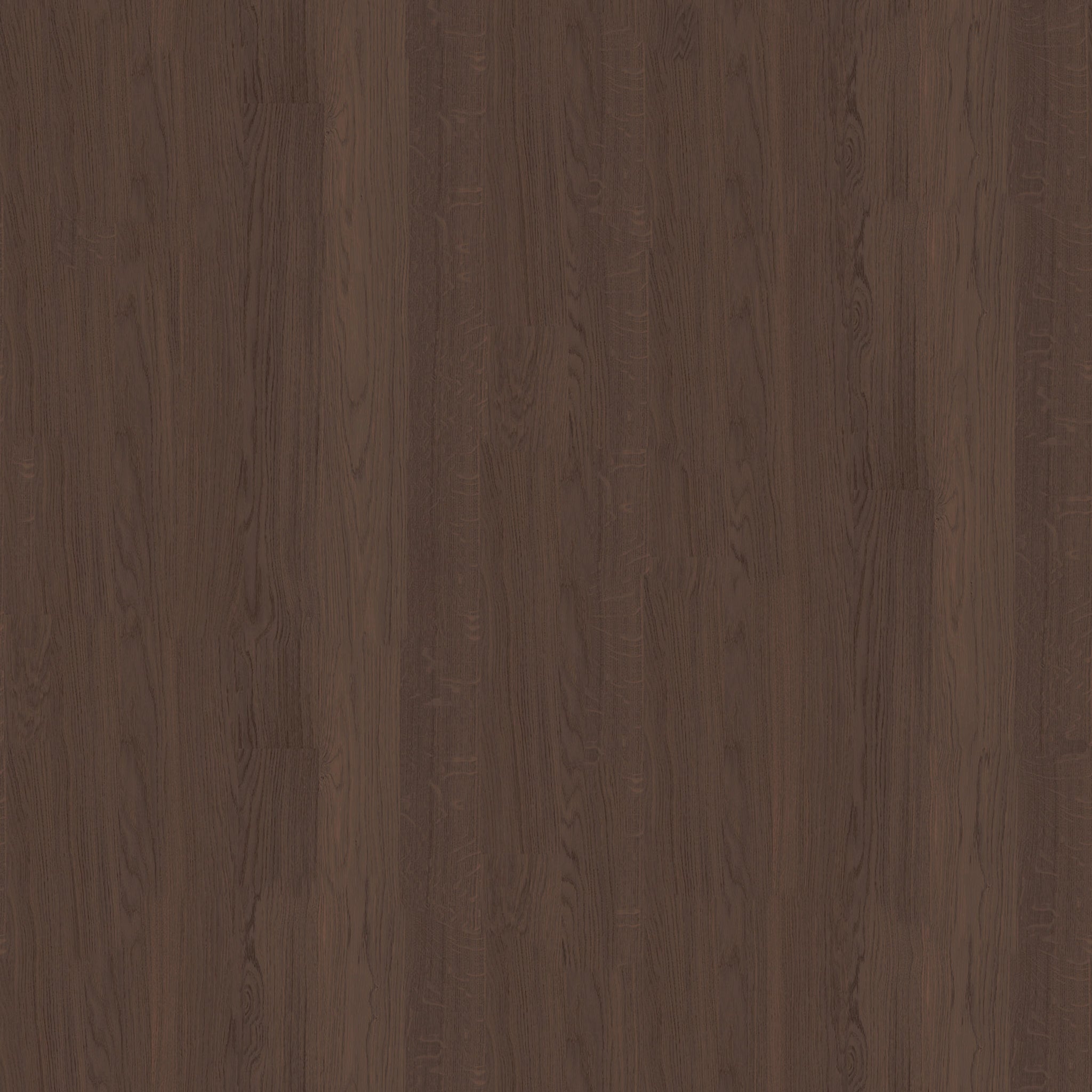Solid Oak Chocolate