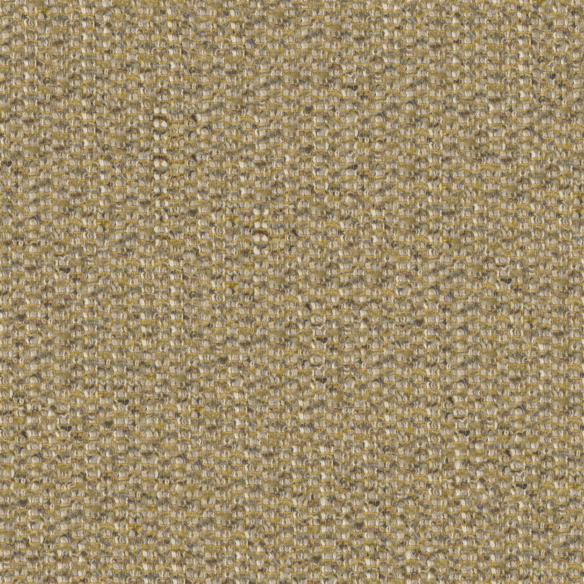 Desert