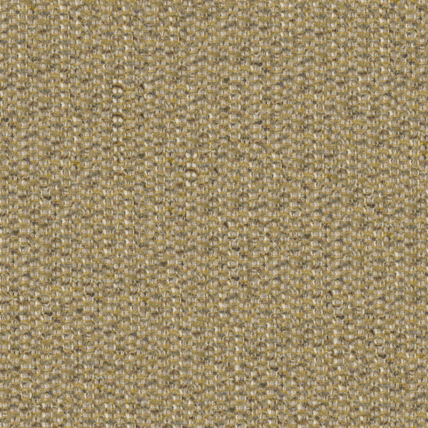 Desert