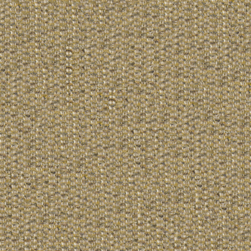 Desert